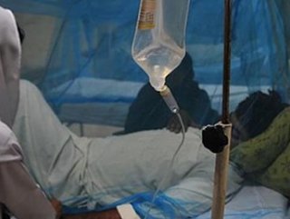 Hindistan'da Nipah virüsü salgını yayılıyor