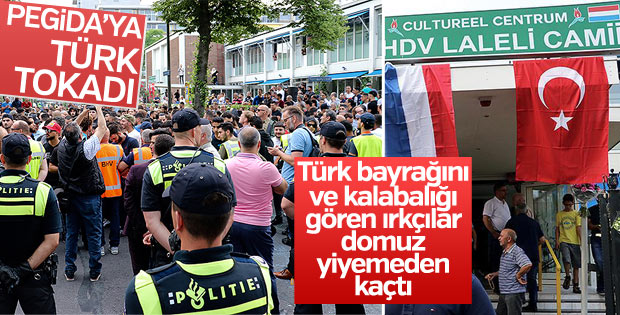 PEGIDA cami önündeki domuz çevirme eyleminden vazgeçti