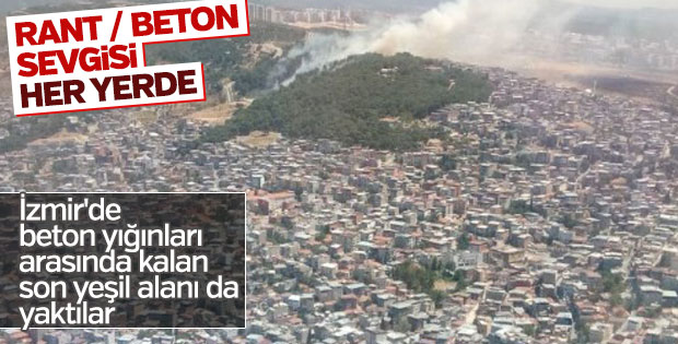 İzmir'deki yangınlar yüzlerce hektarlık alanları kül etti
