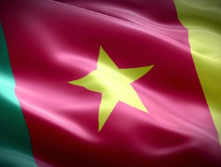 Kamerun'da 8 kabile şefi kaçırıldı