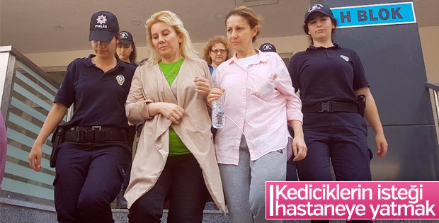 Adnan Oktar'ın kediciklerinin hastaneye yatma isteği