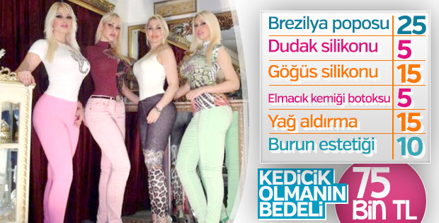 Kedicik olmanın maliyeti