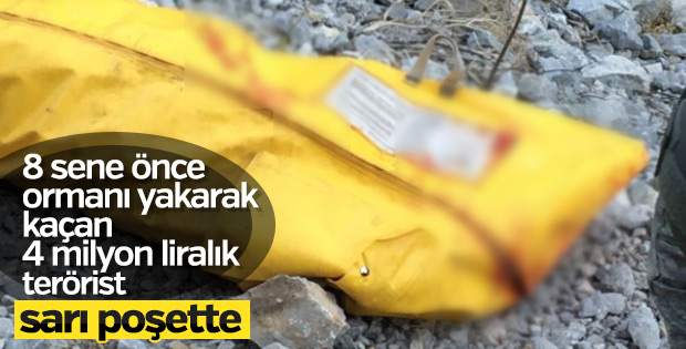 Tunceli'de kırmızı listedeki terörist öldürüldü