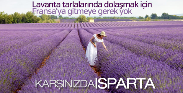 Lavanta kokan köy: Kuyucak