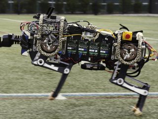 Güney Kore hayvan görünümünde askeri robotlar geliştiriyor