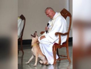 Kilisede ayin sırasında oyun oynayan köpek