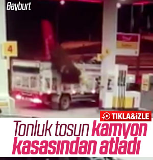 Bayburt'ta tosun kamyon kasasından atladı