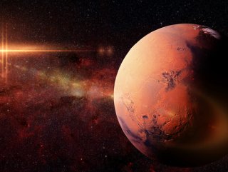 Üç boyutlu yazıcılar Mars yolcuları için kemik ve deri üretecek