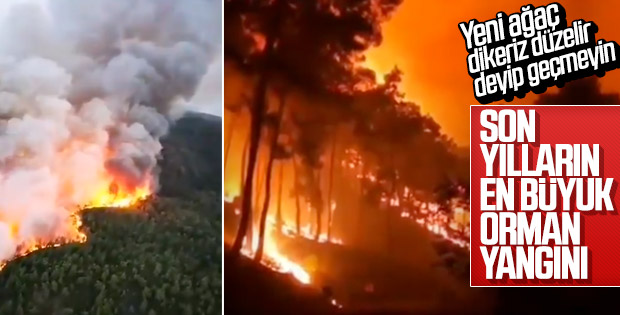 Dalaman'daki yangının boyutu gün ağarınca ortaya çıktı
