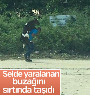 Düzce'de sel felaketinde hayvanı sırtında taşıyan adam