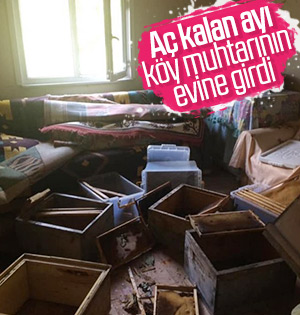 Rize’de eve giren ayı eşyaları parçaladı