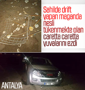 Antalya'da drift yaptı, 10 carette caretta yuvasını bozdu