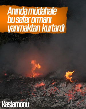 Kastamonu'da orman yangını büyümeden söndürüldü