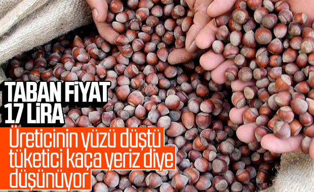 Kabuklu fındık için taban fiyat belli oldu