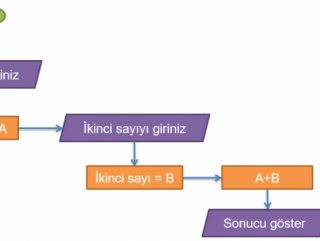 Algoritma nedir