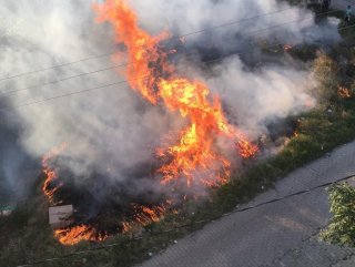 Tekirdağ'daki yangında yüzlerce odun kül oldu