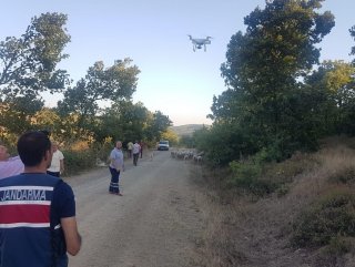 Çanakkale'de kaybolan 56 koyunu jandarma buldu