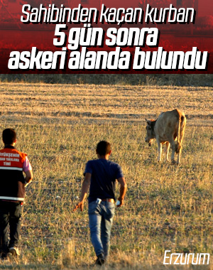 Kaçan kurban yasak bölgeden çıktı