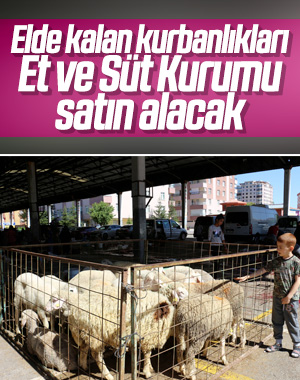 Et ve Süt Kurumu'ndan kurbanlık kararı