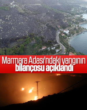 Marmara Adası'nda 80 hektar alan kül oldu