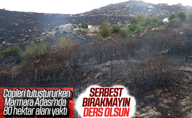 Marmara Adası'ndaki yangında 1 gözaltı