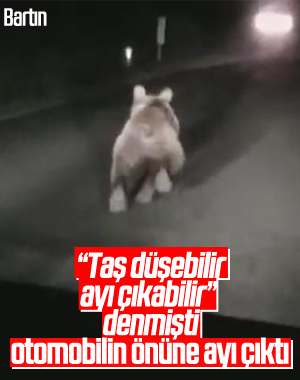 Bartın'da seyir halindeki aracın önüne ayı çıktı