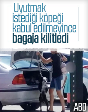 ABD'de barınağın kabul etmediği köpeği bagaja kilitledi
