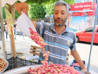 Antep fıstığının kilosu 50 liraya satılıyor