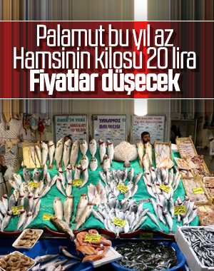 Av yasağı sonrası İstanbul'da balık tezgahları