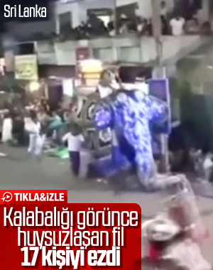 Sri Lanka'da ürken fil insanları ezdi