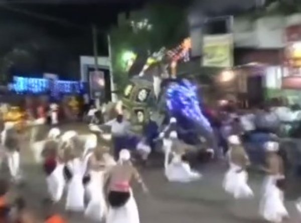 Sri Lanka da ürken fil insanları ezdi #1