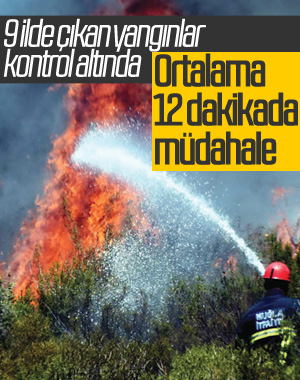 9 ilde çıkan yangınlar kontrol altına alındı