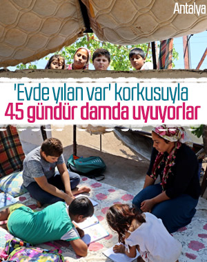 Antalyalı aile yılan korkusundan evine giremiyor