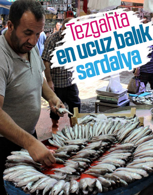 Sardalya şu an tezgahın en ucuz balığı oldu