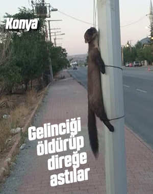 Gelinciği yol kenarındaki direğe bağladılar