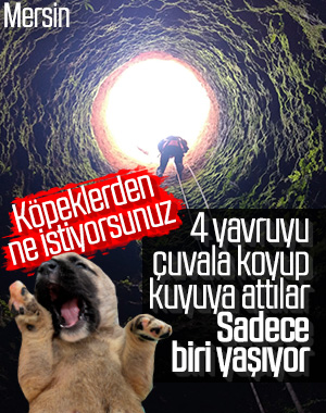4 yavru köpeği çuvala koyup kuyuya attılar