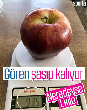 935 gramlık elma görenleri şaşırttı