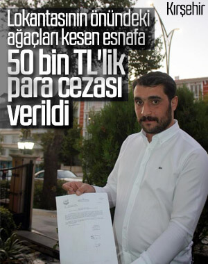 Ağaç kesen esnafa 50 bin TL'lik ceza