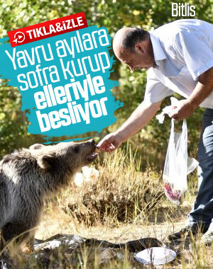 Ayılara sofra kurup, çocuğu gibi eliyle besliyor