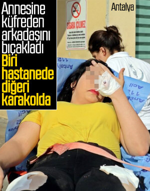 Annesine küfretti diye bıçakladı