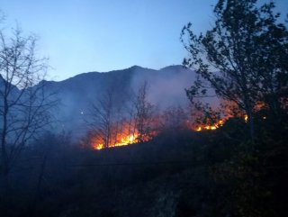 Erzincan'da meyve ağaçları kül oldu