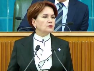 Meral Akşener'den operasyona tam destek
