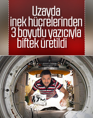 Uzaydaki astronatlar için 3 boyutlu biftek üretildi
