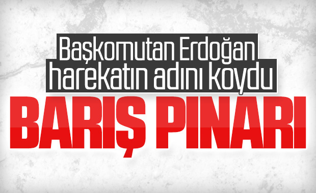 Cumhurbaşkanı Erdoğan: Harekat başladı