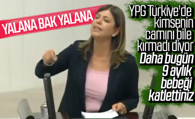 HDP'li Meral Danış Beştaş'ın yalanları