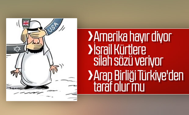 Arap Birliği Türkiye'yi yine kınadı