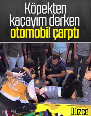 Köpekten kaçarken otomobil çarptı