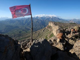 Gri listedeki 2 PKK'lı terörist Van'da teslim oldu