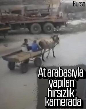 Bursa'da at arabasıyla iş yeri önündeki metali çaldılar