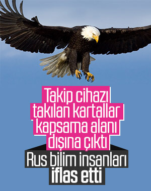 Kartalların dolaşım masrafı, iflas getirdi